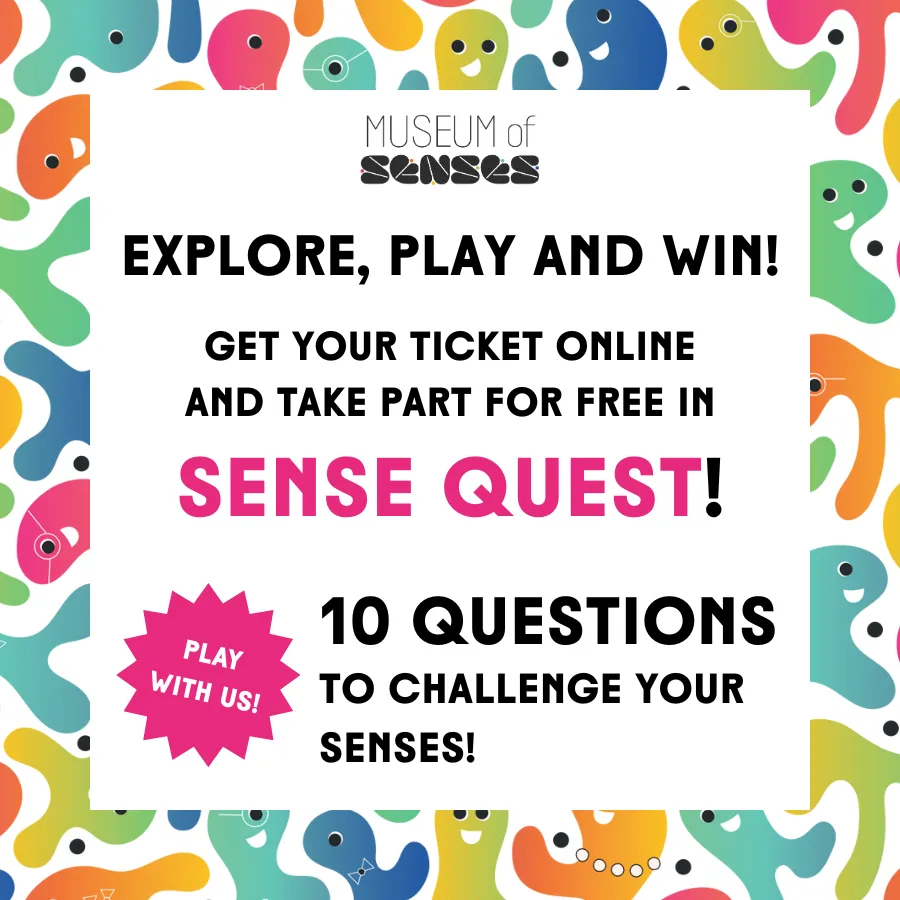 Special offer at Museum of Senses - limited time discount